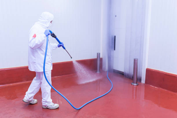 Best House Exterior Washing  in Franconia, VA