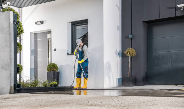 Best Soft Washing  in Franconia, VA